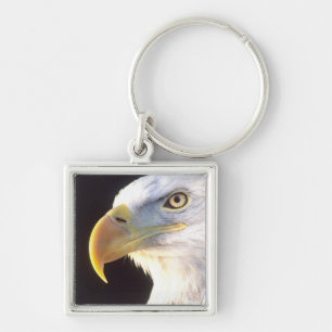 Weißkopfseeadler-Porträt, Haliaeetus leucocephalus Schlüsselanhänger