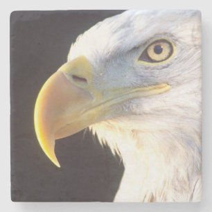 Weißkopfseeadler-Porträt, Haliaeetus leucocephalus Steinuntersetzer