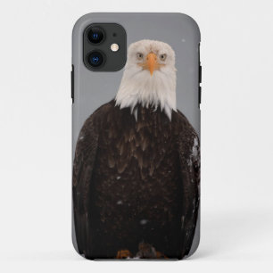 Weißkopfseeadler-Porträt im Schnee, Haliaeetus Case-Mate iPhone Hülle