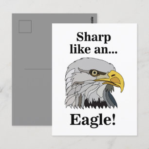Weißkopfseeadler Postkarte