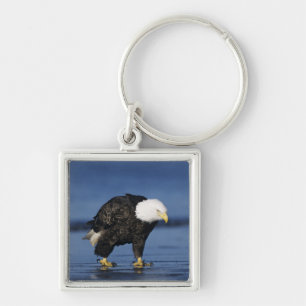Weißkopfseeadler Schlüsselanhänger