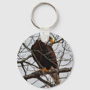 Weißkopfseeadler Schlüsselanhänger