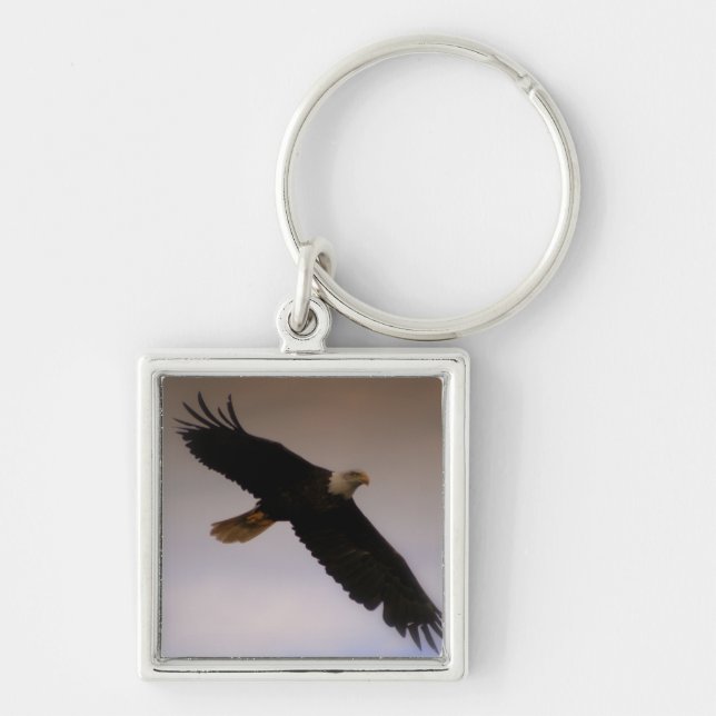 Weißkopfseeadler Schlüsselanhänger (Vorne)