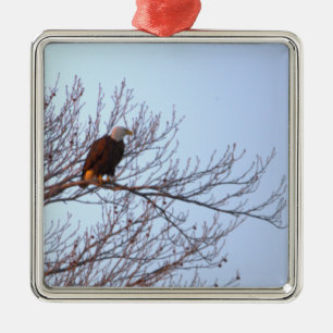 Weißkopfseeadler-Schmuck  Ornament Aus Metall