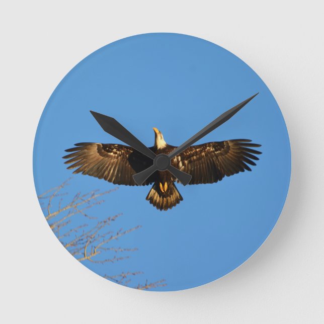 Weißkopfseeadler Soaring1 Runde Wanduhr (Vorderseite)