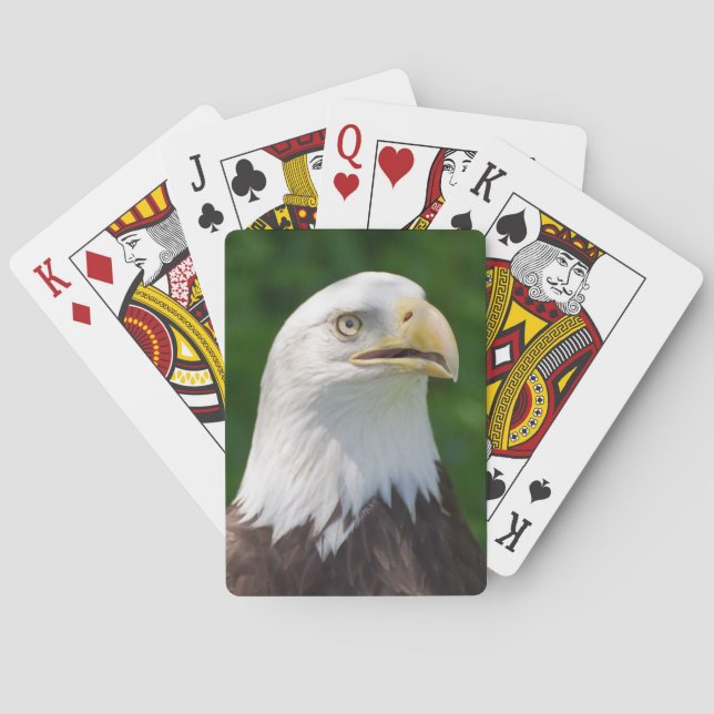 Weißkopfseeadler Spielkarten (Rückseite)