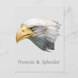 Weißkopfseeadler Stärke & Pracht anpassbar Postkarte