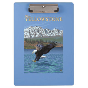 Weißkopfseeadler-Tauchen - WestYellowstone, M.Ü. Klemmbrett