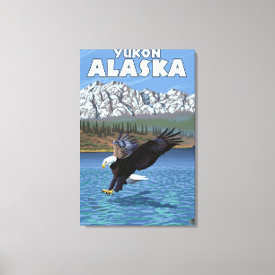 Weißkopfseeadler-Tauchen - Yukon, Alaska Leinwanddruck