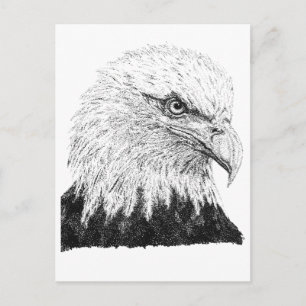 Weißkopfseeadler USA Patriotisches Schwarz-Weiß-Pu Postkarte