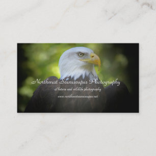 Weißkopfseeadler-Visitenkarte Visitenkarte