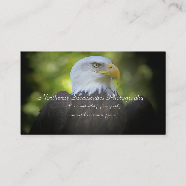 Weißkopfseeadler-Visitenkarte Visitenkarte (Vorderseite)