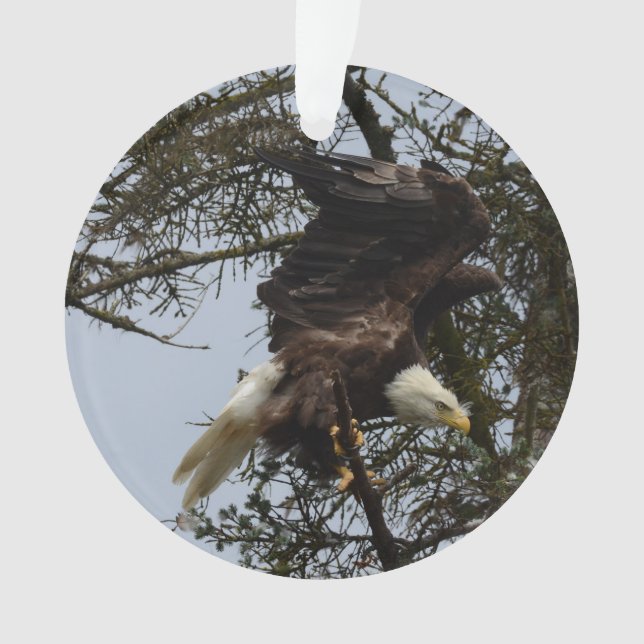 Weißkopfseeadler von Alaska USA Ornament (Vorderseite)