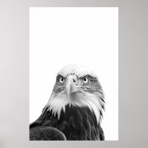 Weißkopfseeadler-Wald-Moderne-Porträt schwarz weiß Poster