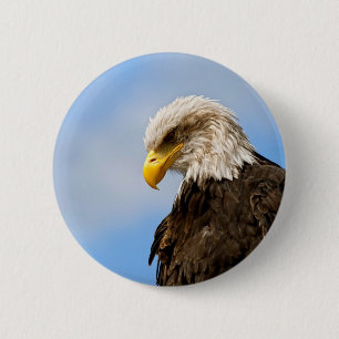 Weißkopfseeadler-Wildnis-Porträtkunst Button