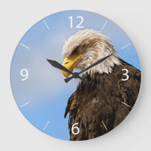 Weißkopfseeadler-Wildnis-Porträtkunst Große Wanduhr