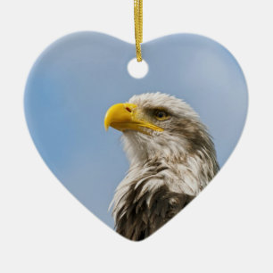 Weißkopfseeadler-Wildnis-Porträtkunst Keramik Ornament