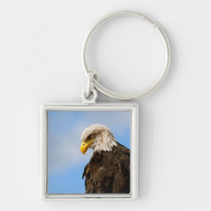 Weißkopfseeadler-Wildnis-Porträtkunst Schlüsselanhänger