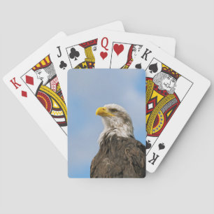 Weißkopfseeadler-Wildnis-Porträtkunst Spielkarten