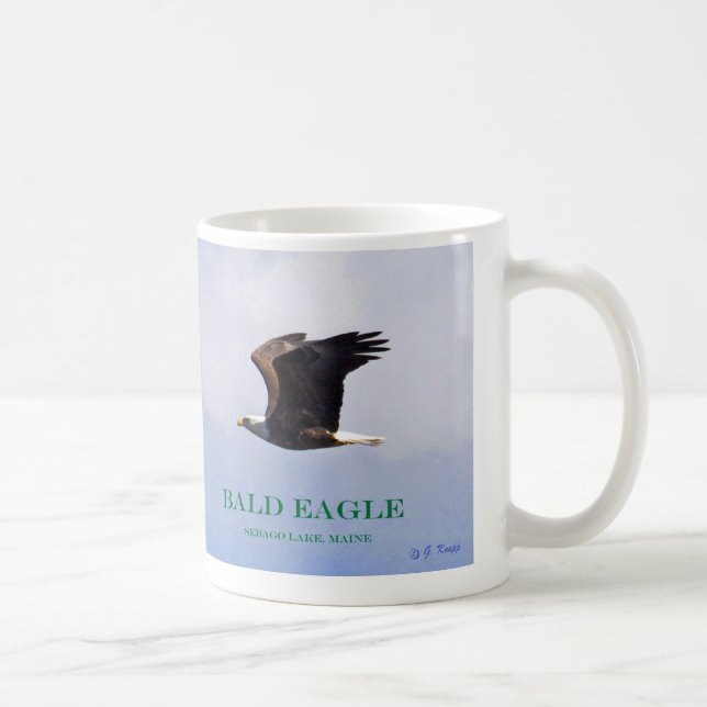 Weißkopfseeadlerbaby, -Eagle und -mamma im Flug Kaffeetasse (Rechts)