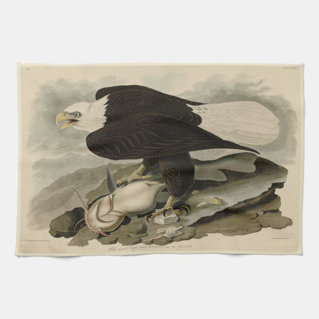 Weißkopfvögel (Bald-Adler) Audubon-Vögel aus Ameri Geschirrtuch (Horizontal)