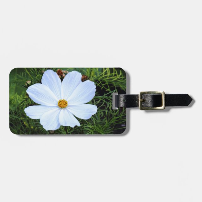 Weißkosmos Gepäckanhänger (Vorderseite horizontal)