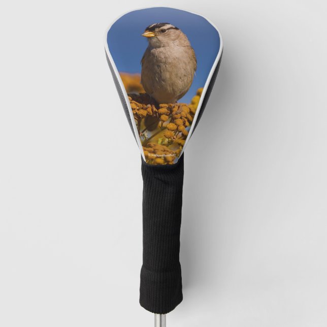 Weißkronenammer auf der Tansy Golf Headcover (Vorderseite)