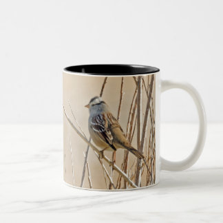 Weißkronenammer Zweifarbige Tasse
