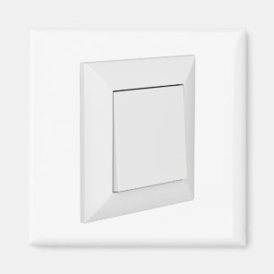 Weißlichtschalter Magnet