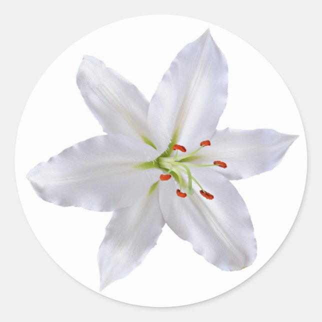 Weißlilie Runder Aufkleber (Vorderseite)