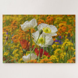 Weißmohn, die um die farbenfrohen Blume wachsen