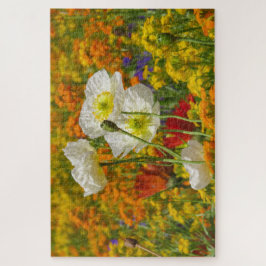 Weißmohn, die um die farbenfrohen Blume wachsen