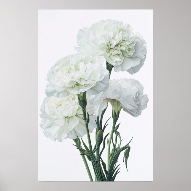 Weißnelken Blume Art Print Poster (Vorne)