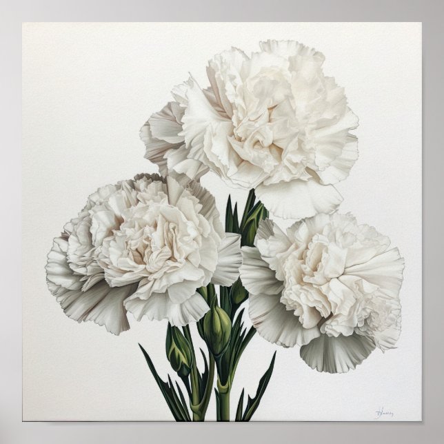 Weißnelken Blume Art Print Poster (Vorne)