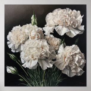 Weißnelken Blume Art Print Poster