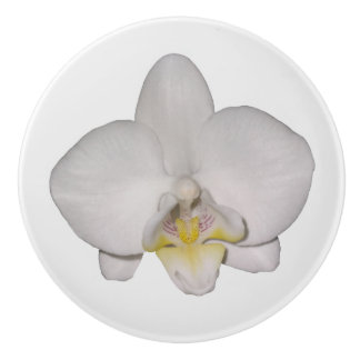 Weißorchid Keramikknauf