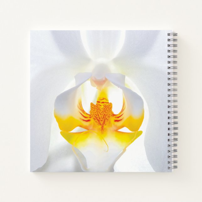 Weißorchid Notizbuch (Rückseite)