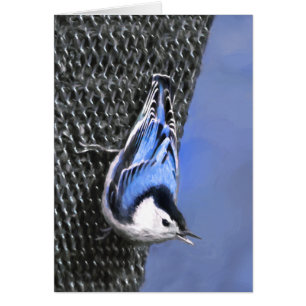 Weißreißer Nuthatch Malerei Original Vogelkunst