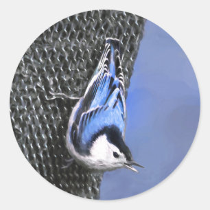 Weißreißer Nuthatch Malerei Original Vogelkunst Runder Aufkleber