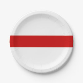Weißrussland-Flagge (rot und weiß) Pappteller