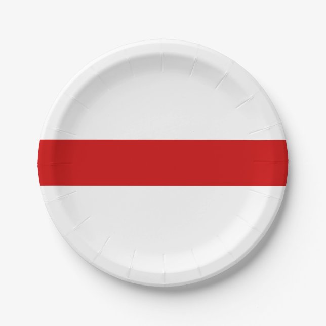 Weißrussland-Flagge (rot und weiß) Pappteller (Vorderseite)