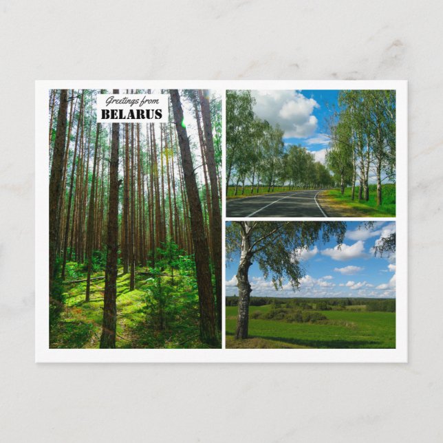 Weißrussland Grüße Naturwaldlandschaft Postkarte (Vorderseite)
