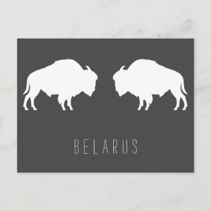 Weißrusslands Bison З б р у е л Б а р у с ь je nac Postkarte