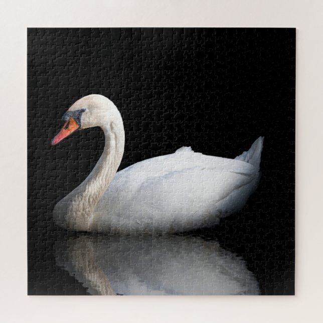 Weißschwan auf schwarz (Horizontal)