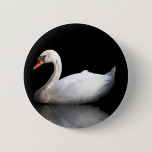 Weißschwan auf schwarz button