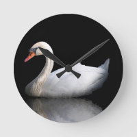 Weißschwan auf schwarz