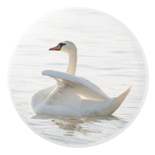 Weißschwan Cygnus Keramikknauf (Vorderseite)