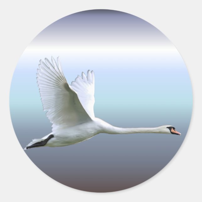 Weißschwan im vollen Flug Runder Aufkleber (Vorderseite)