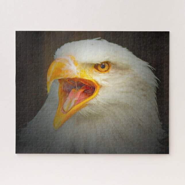 Weißschwanzadler (Horizontal)