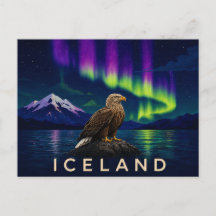 Weißschwanzadler unter der Aurora | Ikonisches Isl